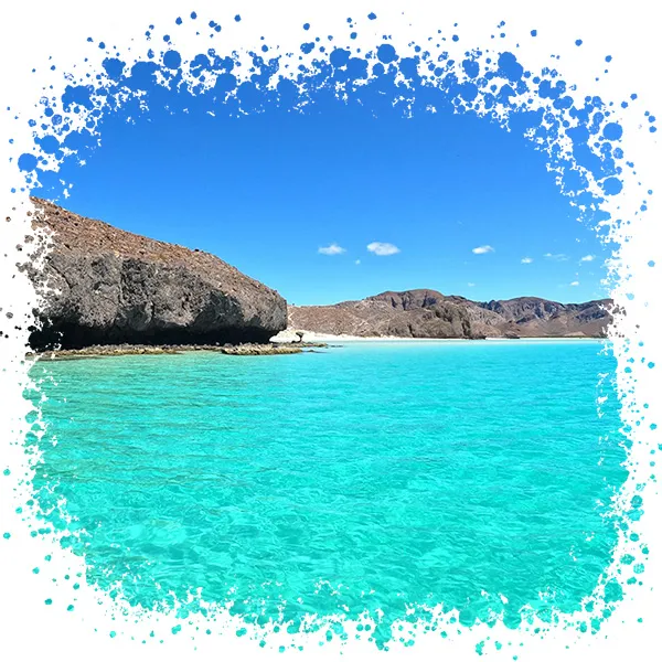 Whale Shark, Balandra & Sea Lions Combo