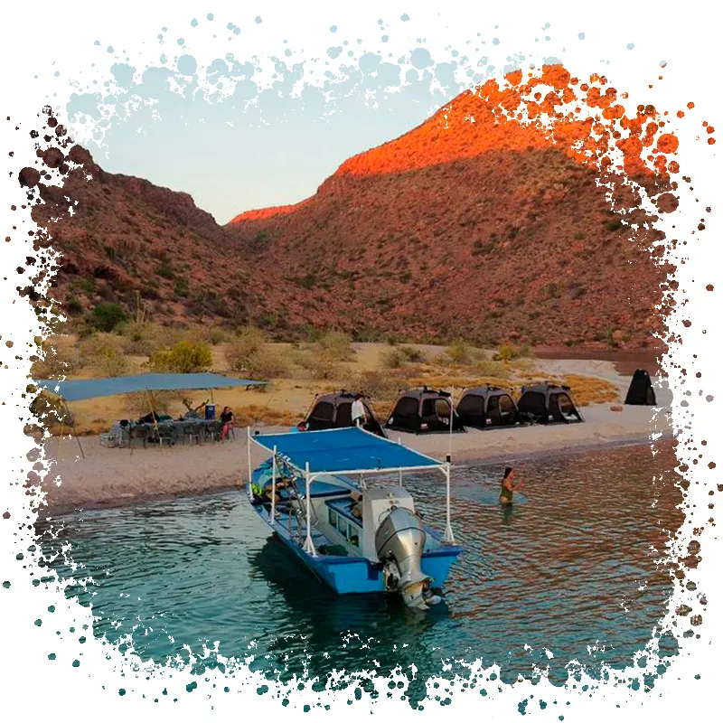 Salty Camp Isla Espiritu Santo